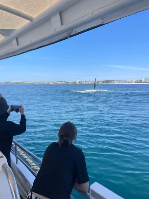 Mooloolaba: 2-Hour Whale Watching Adventure - FAQ