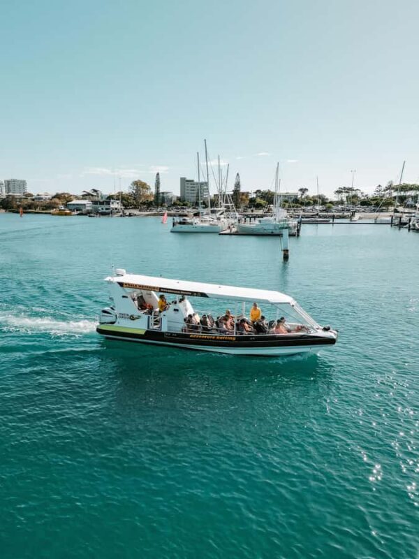 Mooloolaba: Adventure Rafting Turtle Tour - Final Thoughts