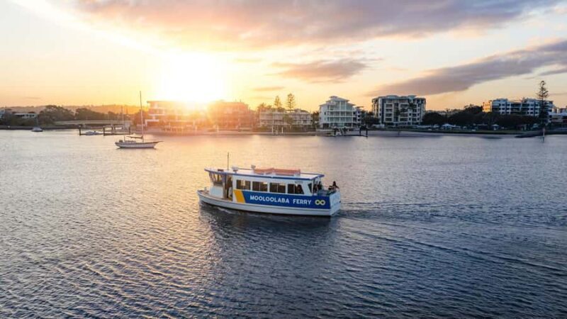 Mooloolaba: Hop-On Hop-Off Ferry Return Ticket - Key Points