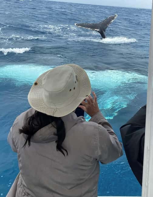 Mooloolaba: Whale Watching Cruise - FAQ