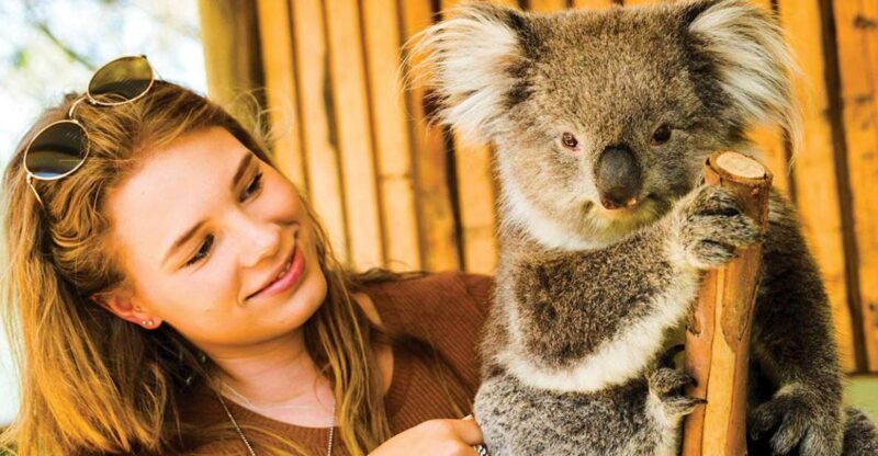 Moonlit Sanctuary Conservation Park Entry Ticket - Key Points