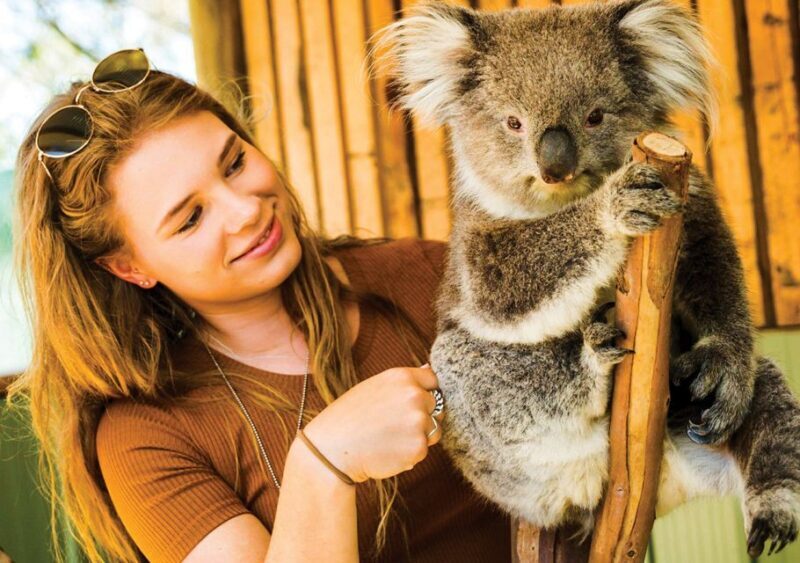 Moonlit Sanctuary Conservation Park Entry Ticket - An In-Depth Look at Your Day at Moonlit Sanctuary