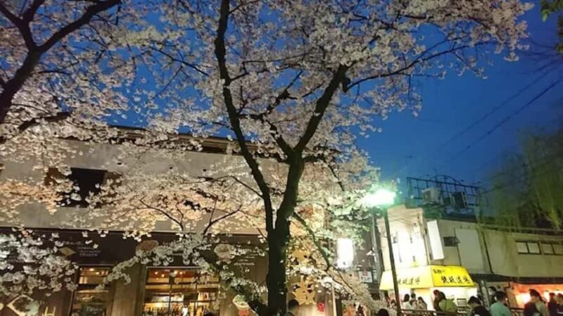 Moonlit Whispers of Kyoto:A Guided Romantic Night Walk Tour - An In-Depth Look at the Experience
