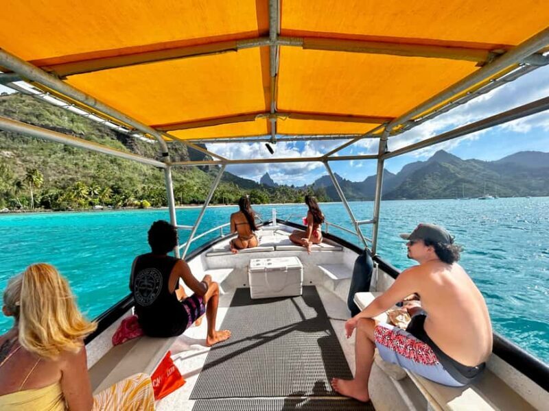 Moorea 4H Shared Boat Tour Whale Swimming and Snorkeling - Who Should Consider This Tour?