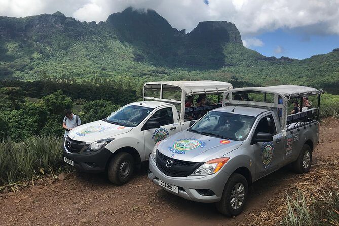 Moorea 4WD Tour Inc. Belvedere, Pineapple Farm, Magic Mountain... - Discover Moorea with a 4WD Tour: An Authentic Half-Day Adventure