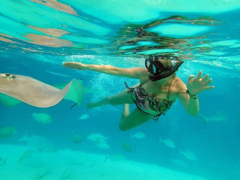 MOOREA 6H PRIVATE BOAT TOURS SNORKELING & LUNCH - Exploring Moorea’s Marine Wonders with a Private 6-Hour Boat Tour