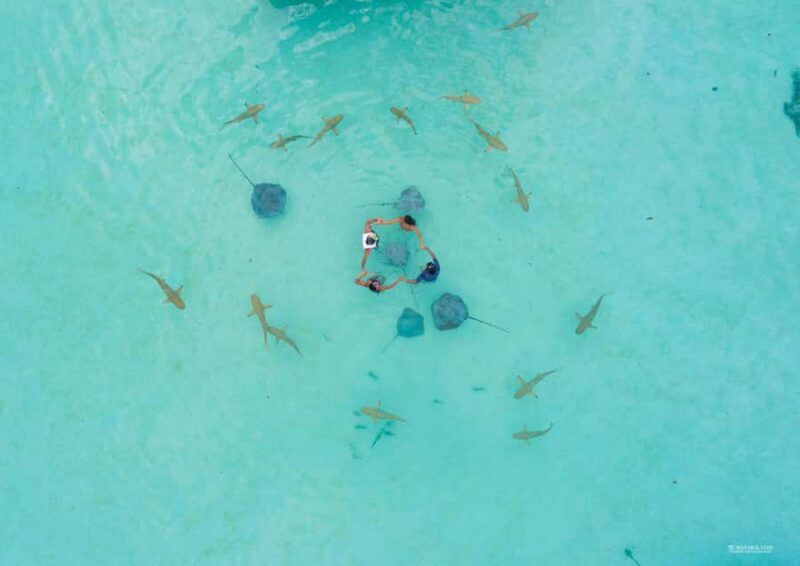 MOOREA 6H PRIVATE BOAT TOURS SNORKELING & LUNCH - Why This Tour Stands Out