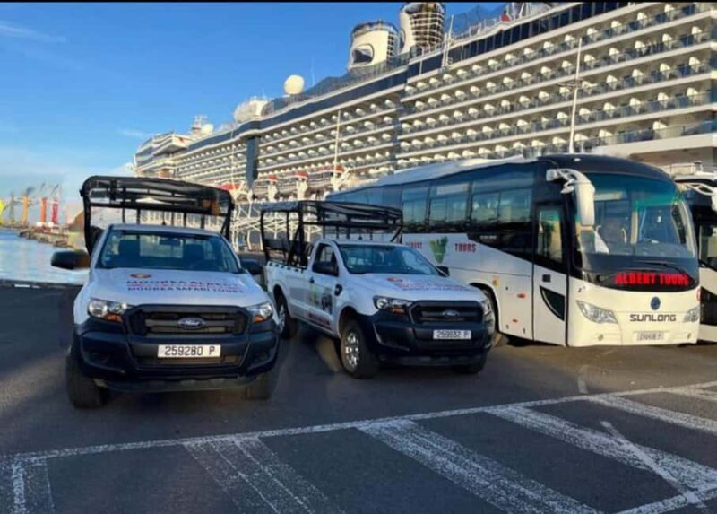 Moorea Cruise Ships 4x4, Belvedere Magic mount PRIVATE Tours - The Sum Up