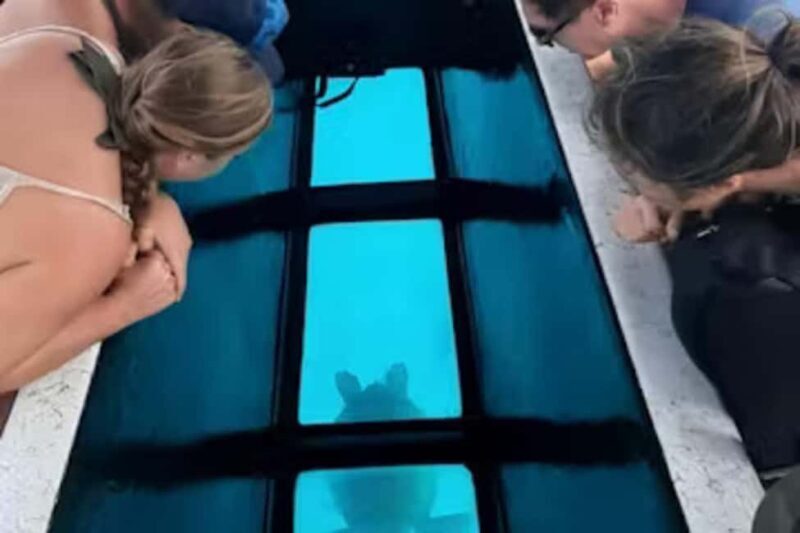 Moorea: Glass Bottom Boat Adventure with Lagoon Wonders - Exploring Moorea: Glass Bottom Boat Adventure with Lagoon Wonders – A Detailed Review
