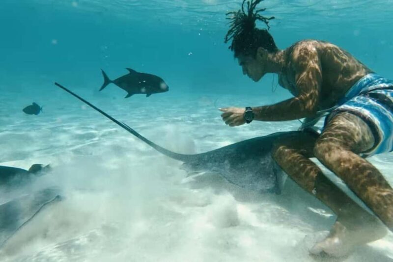 Moorea: Glass Bottom Boat Adventure with Lagoon Wonders - The Itinerary: What You Can Expect