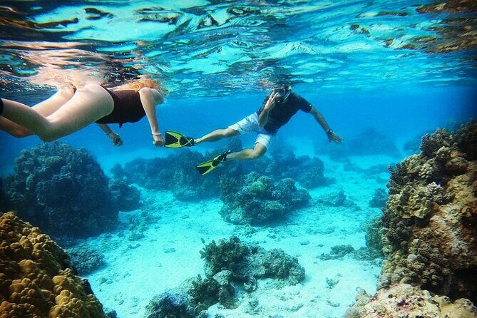 Mo'orea Half Day Private Tour with Snorkeling and Cruising the Lagoon - An Overview of the Tour Experience