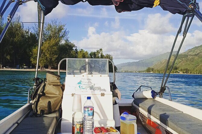 Mo'orea Half Day Private Tour with Snorkeling and Cruising the Lagoon - The Itinerary: What to Expect from Start to Finish