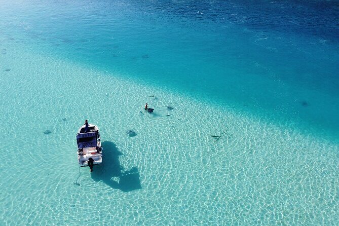 Mo'orea Half Day Private Tour with Snorkeling and Cruising the Lagoon - Authentic Insights from Reviewers