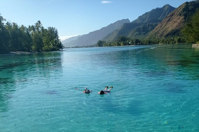 Mo'orea Half Day Private Tour with Snorkeling and Cruising the Lagoon - The Sum Up