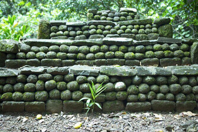 Moorea Highlights Private Tour: Natural and Cultural Attraction - What to Expect from the Itinerary