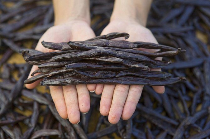 Moorea Highlights Private Tour: Natural and Cultural Attraction - Who Is This Tour Best Suited For?