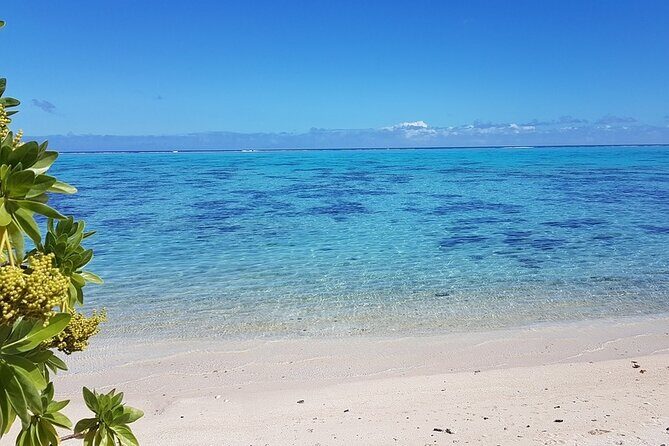 Moorea Highlights Private Tour: Natural and Cultural Attraction - Final Thoughts: Is This Moorea Tour Worth It?