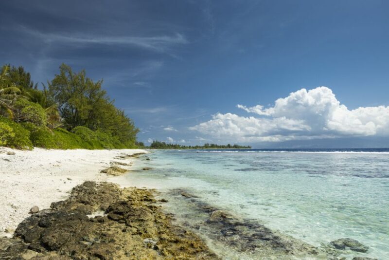 Moorea Highligts: Blue Lagoon Shore Attractions and Lookouts - Optional Lagoon Snorkeling Adventure