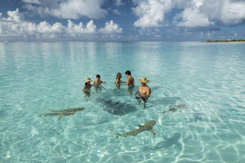 Moorea Highligts: Blue Lagoon Shore Attractions and Lookouts - FAQs