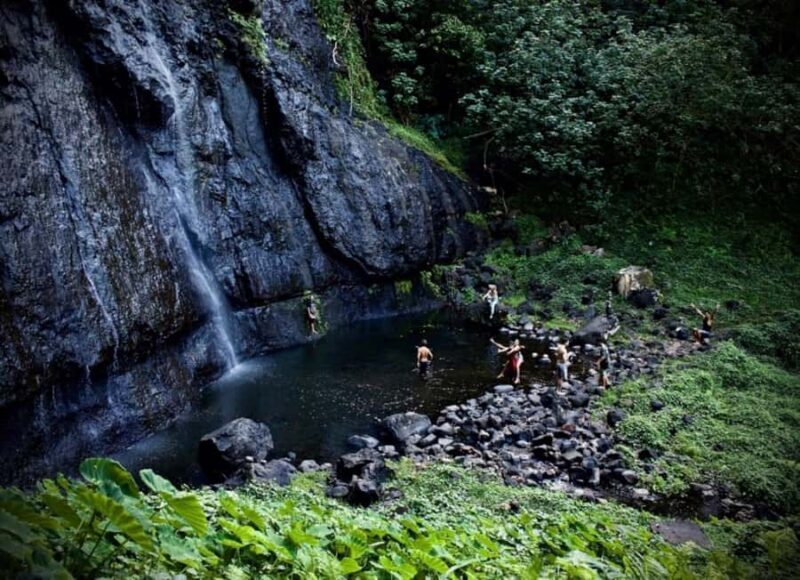 Moorea: Island Tour with Waterfall Hike and Lunch - Key Points