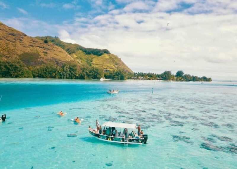 Moorea: Lagoon and Reef Snorkeling Tour with Drinks - Introduction: What to Expect from Moorea’s Lagoon and Reef Snorkeling Tour