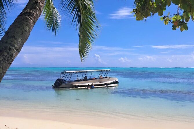 Moorea Lagoon Cruise 3 hours Snorkeling Tour - Who Should Consider This Tour?