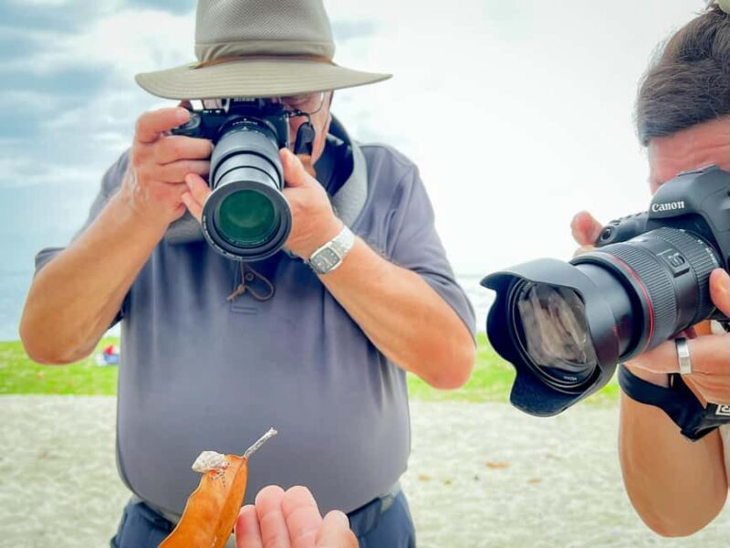 Moorea photographic excursion in private and adapted session - Why choose this experience?