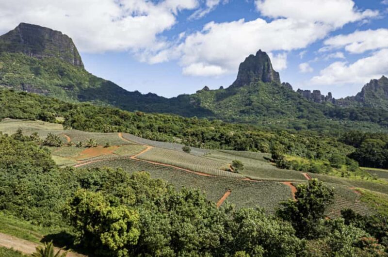 Moorea: Scenic Bus Tour with Guide for Cruise ship passenger - FAQ