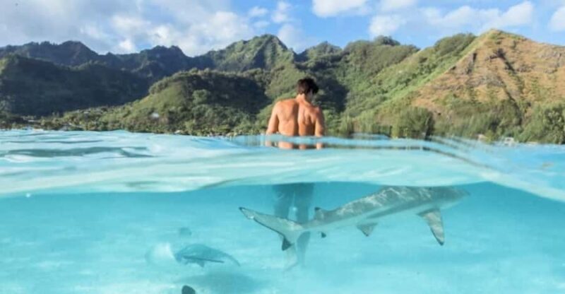 Moorea: Small Group Snorkeling Tour with local guide - Practical Details and Value