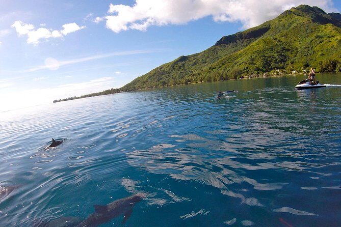 Moorea Solo or Twin 3 hours Jet Ski Tour - Frequently Asked Questions  