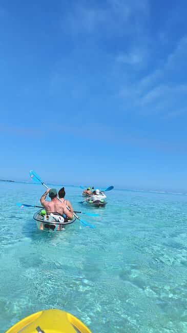 Moorea: Transparent Kayak Day Trip - Key Points
