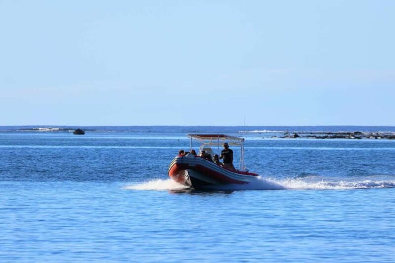 Moorea: Whale watching adventure - The Experience in Detail: What to Expect from Start to Finish