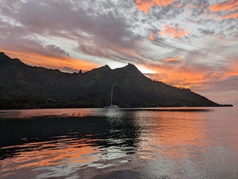 Moorea: Whale watching adventure - Frequently Asked Questions