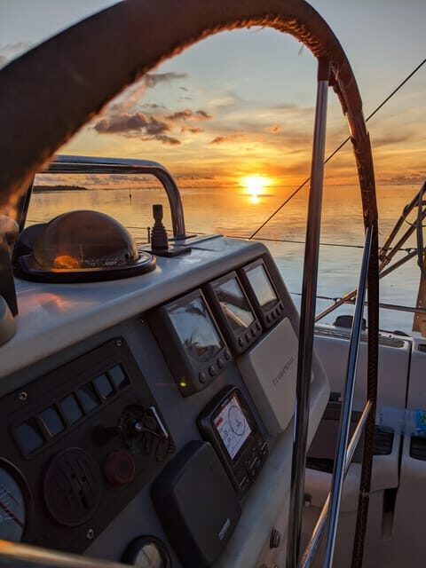 Moorea: Whale watching adventure - Wrapping It Up