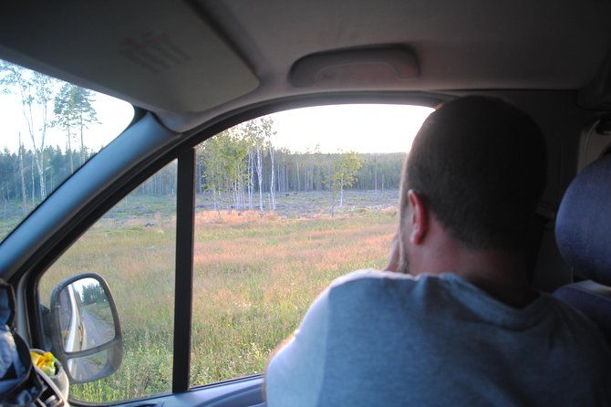 moose-safari-in-the-wild-sweden-tiveden