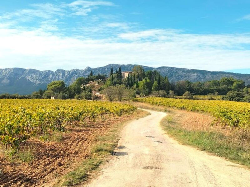 more-than-a-wine-tour-day-like-a-local-in-the-countryside