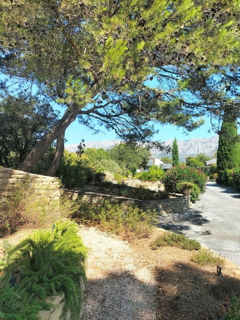 more-than-a-wine-tour-day-like-a-local-in-the-countryside
