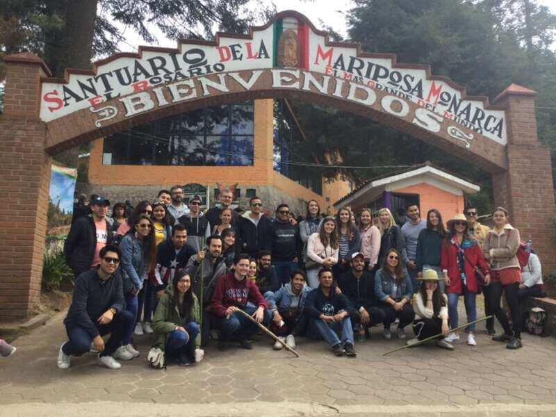 Morelia: Monarch Butterfly Tour - The Sum Up