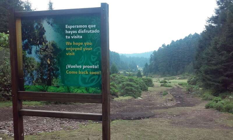 Morelia: Monarch Butterfly Tour - FAQ