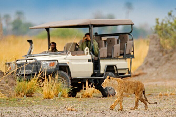 Moremi Full Day Trip From Maun - A Detailed Look into the Moremi Full Day Trip