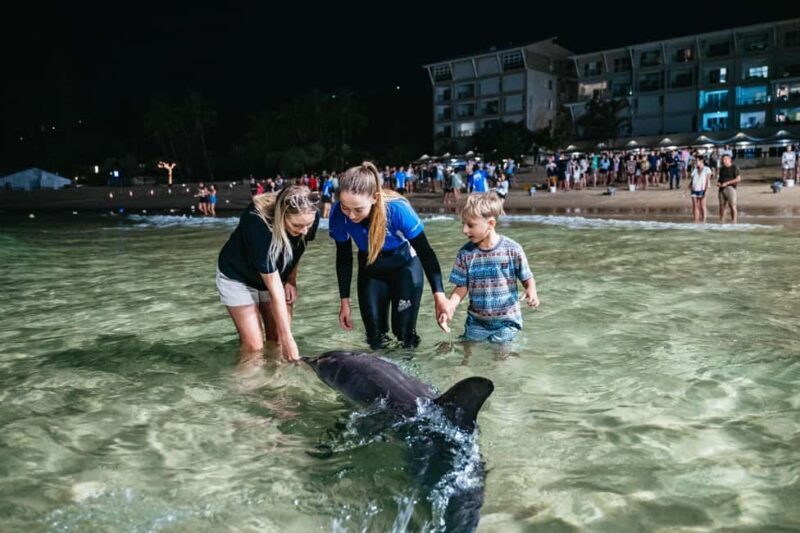 Moreton Island: Marine Discovery Cruise & Dolphin Feeding - The Finer Details of the Itinerary
