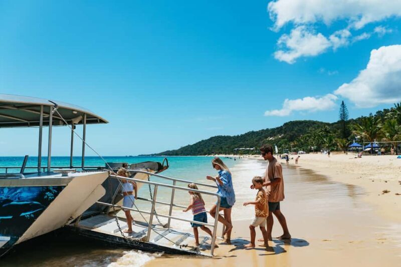 Moreton Island: Marine Discovery Cruise & Dolphin Feeding - What Could Be Better?