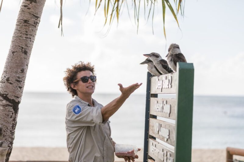 Moreton Island: Marine Discovery Cruise & Dolphin Viewing - The Value of the Experience