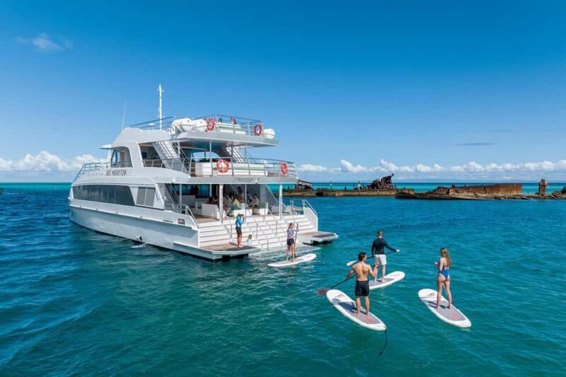 Moreton Island: Premium Tangalooma Snorkel & Dolphin Tour - Key Points