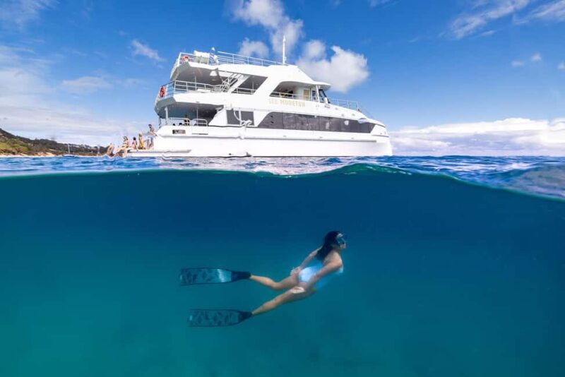 Moreton Island: Premium Tangalooma Snorkel & Dolphin Tour - Who Will Love This Tour?