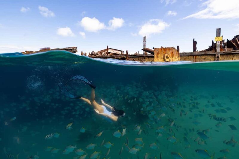 Moreton Island: Premium Tangalooma Snorkel & Dolphin Tour - Final Thoughts