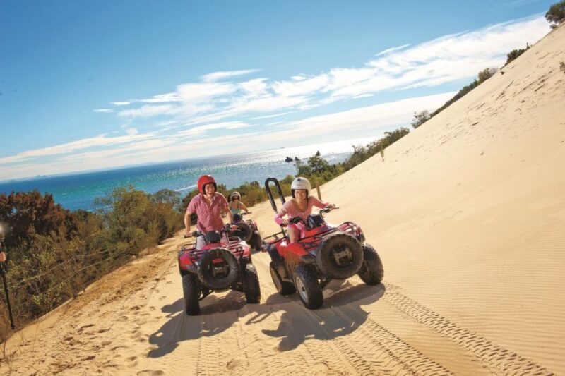 Moreton Island: Tangalooma ATV Quad Bike and Dolphin Viewing - Key Points