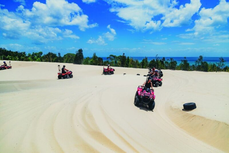 Moreton Island: Tangalooma ATV Quad Bike and Dolphin Viewing - The Value of This Experience