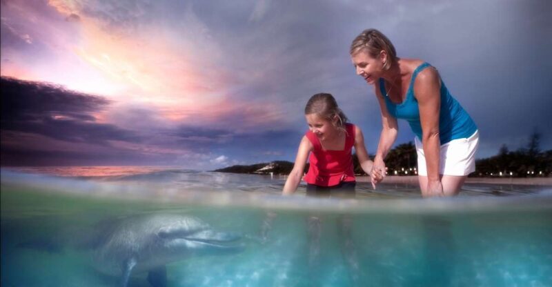 Moreton Island: Tangalooma ATV Quad Bike & Dolphin Feeding - Food and Drink