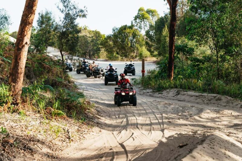 Moreton Island: Tangalooma Day Trip with ATV Quad Bike Tour - Starting the Journey: From Brisbane to Moreton Island